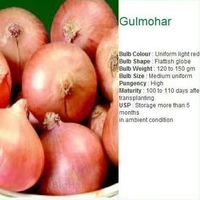 Payaj Onion प्याज  - 1kg, India, MD MART