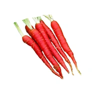 Fresh Gajar गाजर  - 500gm, india