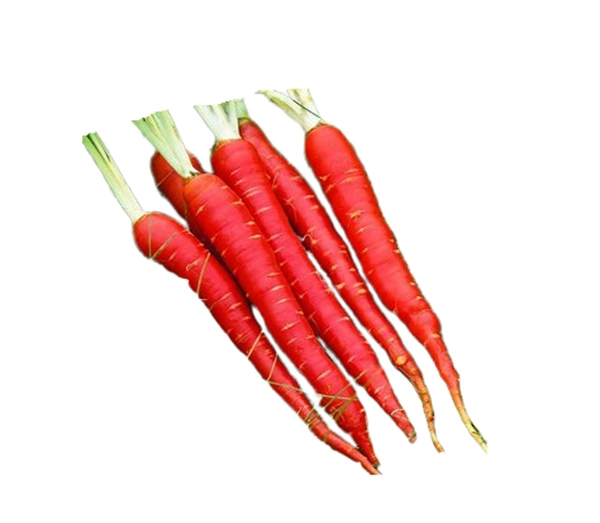 Fresh Gajar गाजर  - 500gm, india