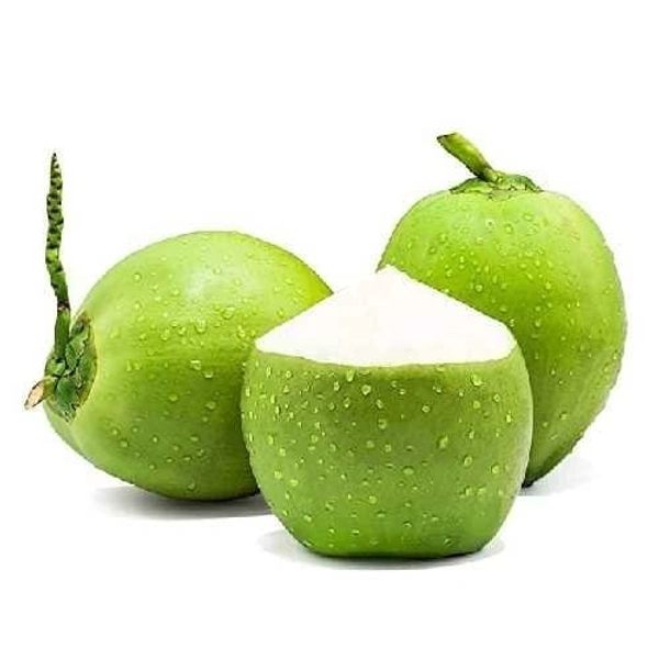 Coconut Nariyal  नारियल 