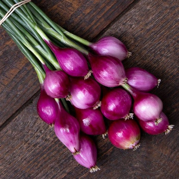 Fresh Onion प्याज  - 500gm, MD MART