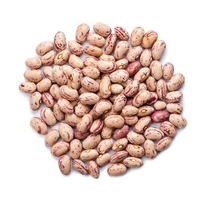 FreshRazma राजमा  - 500gm