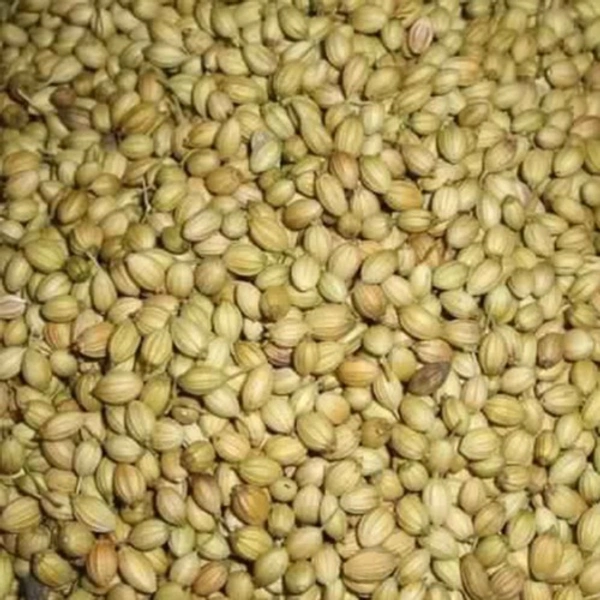 Jira Sabut जीरा साबुत  - 250gm