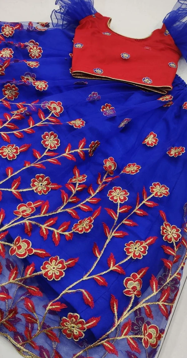 Kids Lehenga Choli With Designer Embroidery - Age 5-7