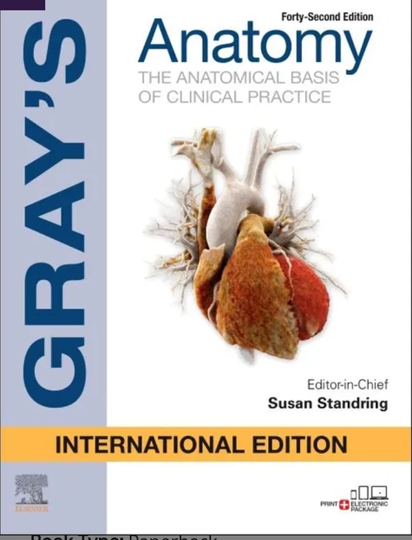 Elsevier India Gray's Anatomy 42nd International Edition 2020 by Susan Standring