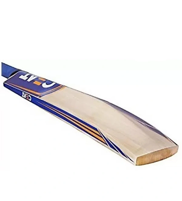 CEAT For Junior Next Generation Poplar Willow   Bat - 40, available, yellow, 4 Days, 9 cm, 65 cm, 8 cm, 0