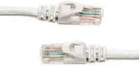 QUANTUM 5 MTRS CAT 5 Patch Cable 5 m LAN Cable - 5 m, 100 Mbps, RJ 45|Connector Two: RJ 45, 30, white, Computer, Gaming Console, TV,  , cash on delivery available, 4 days, 1