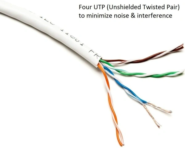 QUANTUM 5 MTRS CAT 5 Patch Cable 5 m LAN Cable - 5 m, 100 Mbps, RJ 45|Connector Two: RJ 45, 30, white, Computer, Gaming Console, TV,  , cash on delivery available, 4 days, 1