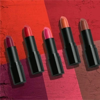 LAKMÉ Cushion Matte Lipstick, Matte Finish, 4.5g - Pink Unicorn, 2-3 days on orders over ₹499 shipped by Selection House, 4.5g