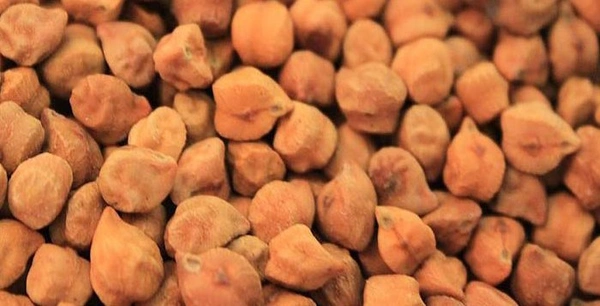  கொண்டைக்கடலை