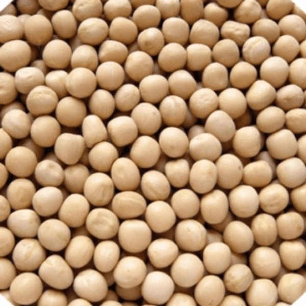 வெள்ளை பட்டாணி