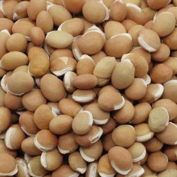 மொச்சை கொட்டை