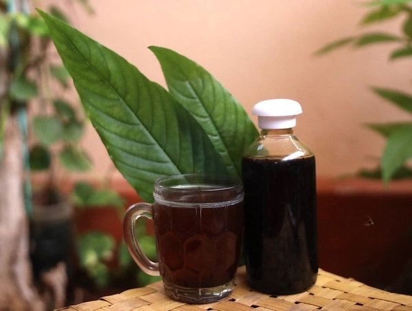 Adathodai Manapagu - ஆடாதொடை மனபாகு - 500ml