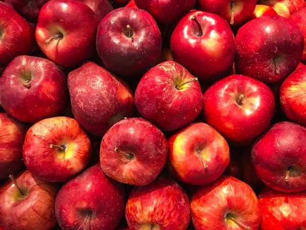 Kashmiri Special Apple  - 1pc