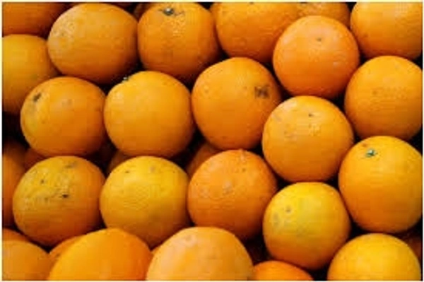 Nagpur Oranges(santra) - 1kg