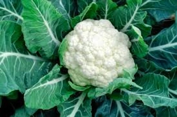 Cauliflower - 500 gm