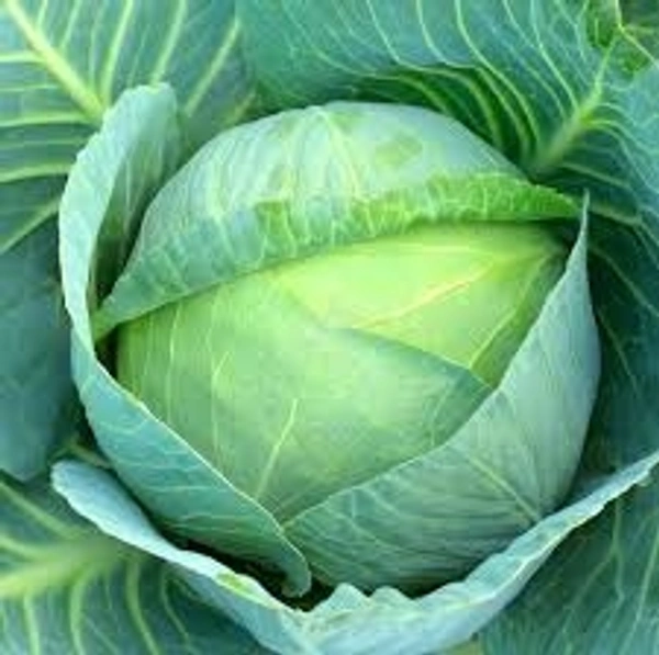 Cabbage - 500 grms