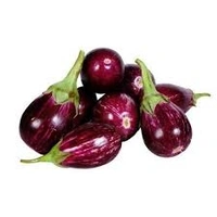 Brinjal - 500 grams
