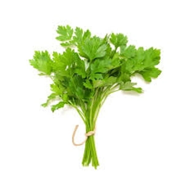 Kothmir - 1 pc, fresh green