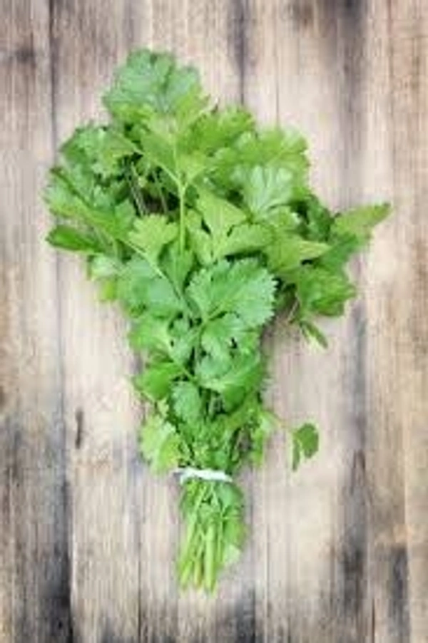 Kothmir - 1 pc, fresh green