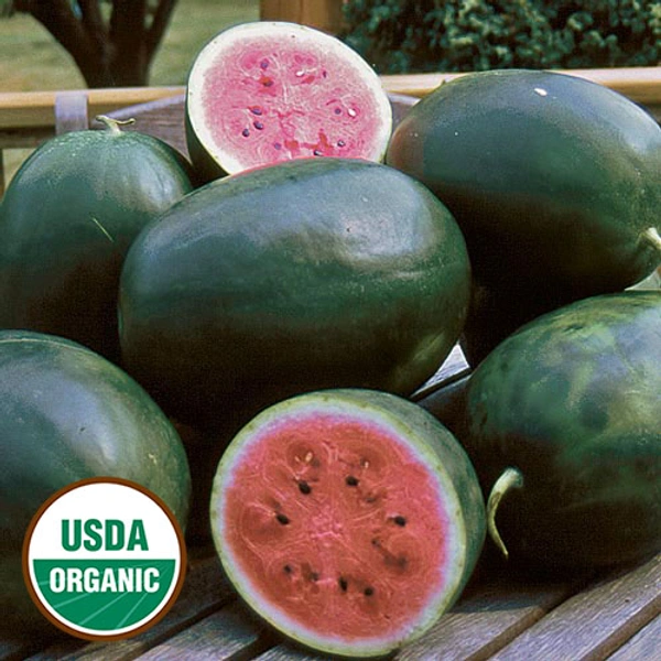 Watermelon - 1 kg