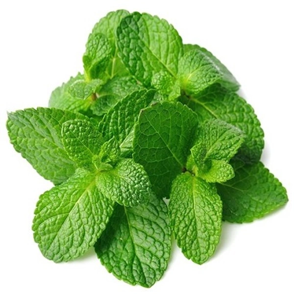 Mint (Pudina) - 1 bunch
