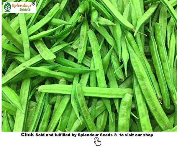 Guar (Gawar Ki Phalli) - 250 grms