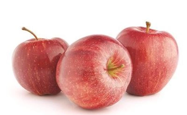 Apple Regular - 1pc