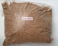 Millet Grain Kodo - Gluten Free - 1kg