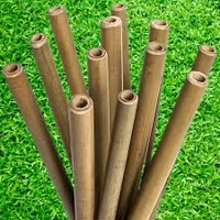 Bamboo Straws- Organic Straw - 5 Grams