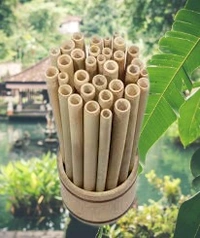 Bamboo Straws- Organic Straw - 5 Grams
