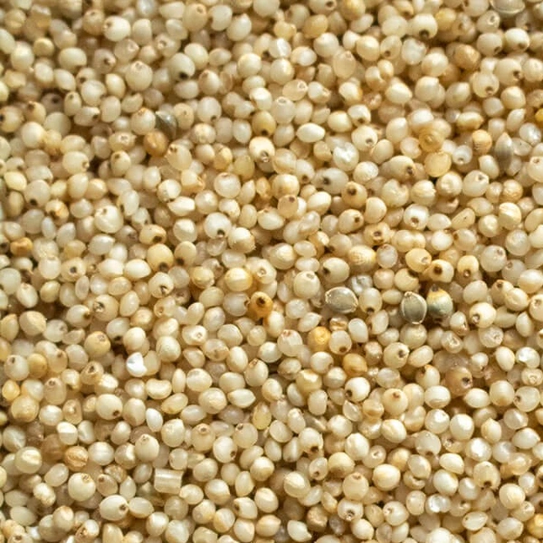 Barnyard Millet Grain (GLUTEN FREE) = 1kg pack - 1KG