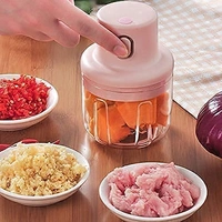 Electric Rechargeable Chopper.