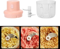 Electric Rechargeable Chopper.