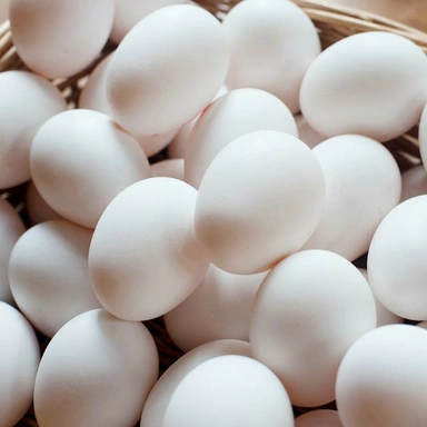 Egg : Time 9 To 5