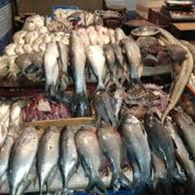 Fish : Time 5 To 8 pm