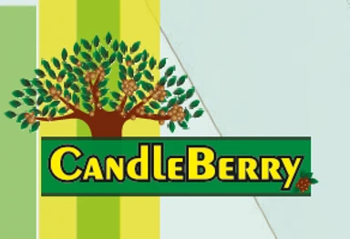 Candle Berry Books