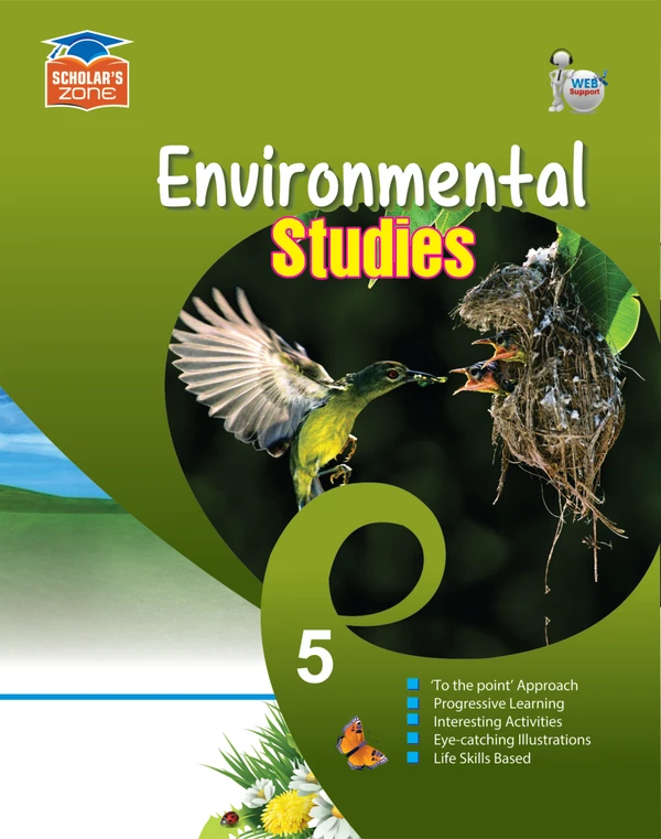 SZ Environment Studies-5