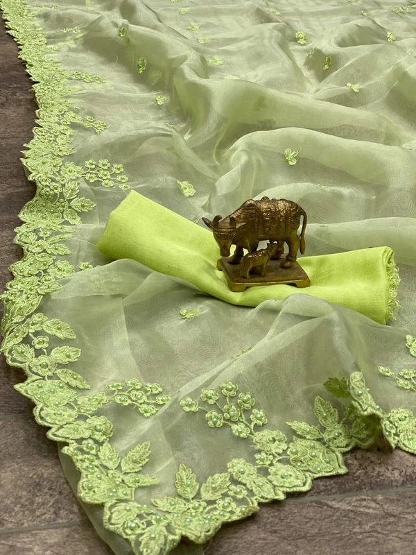 ❤️ TRADITIONAL *ORGANZA SAREE* WITH *EMBRODERY C PALLU* WORK WITH *MOTI* WITH MATCHING COLOUR *BANGLORI SILK PLAIN BLOUSE*(am) - Green