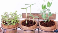 Funvention | Garden Drip Irrigation Kit DIY Science Educational Toy, STEM Learning Kit, Birthday Gifts - Multi, Yes, No, High Quality Engineered Wood, Paper, Coir Pot, Seeds & Soil Coin, 40 x 15 x 20 cm, Funvention, 800 grams, Shipping Charges will be added during checkout. Order will be shipped within 2-4 working days. Delivery time may vary due to COVID-19 , rainy season and delivery location. TrackingID will be provided to check the real time status of delivery. For any further queries related to orde