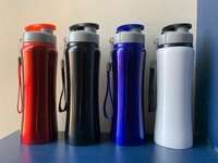 Bottle 11.0 - red